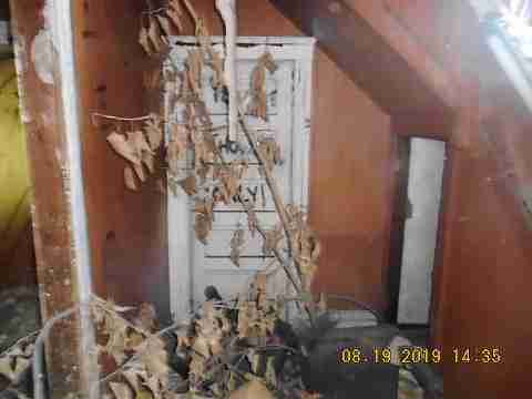 4632 Scotten (15)_m.jpg